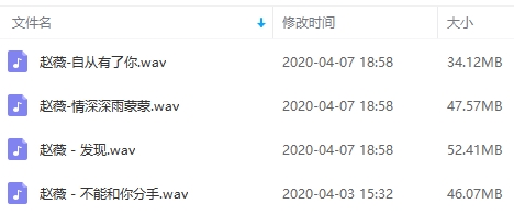 赵薇无损歌曲精选4首[WAV/180.17MB]百度云网盘下载