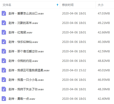 赵传无损歌曲精选10首[WAV/448.43MB]百度云网盘下载