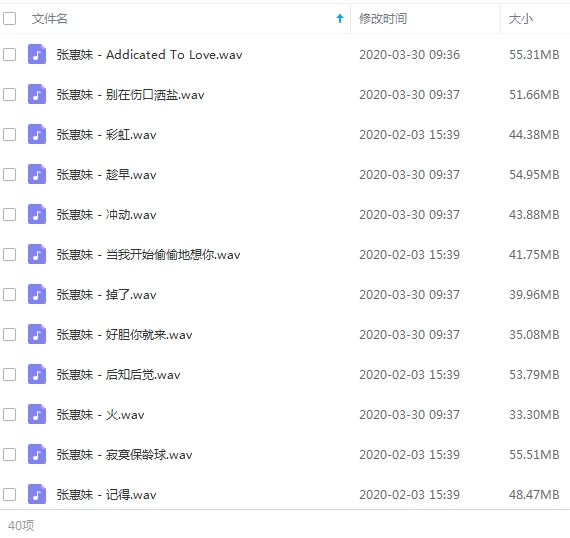 张惠妹无损歌曲精选40首[WAV/1.80GB]百度云网盘下载