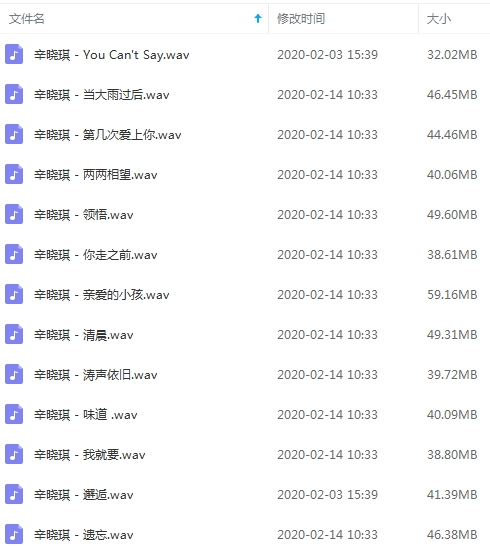 辛晓琪无损歌曲精选13首[WAV/566.07MB]百度云网盘下载