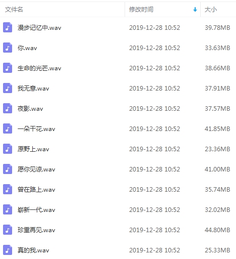 王雅文无损歌曲精选12首[WAV/431.64MB]百度云网盘下载