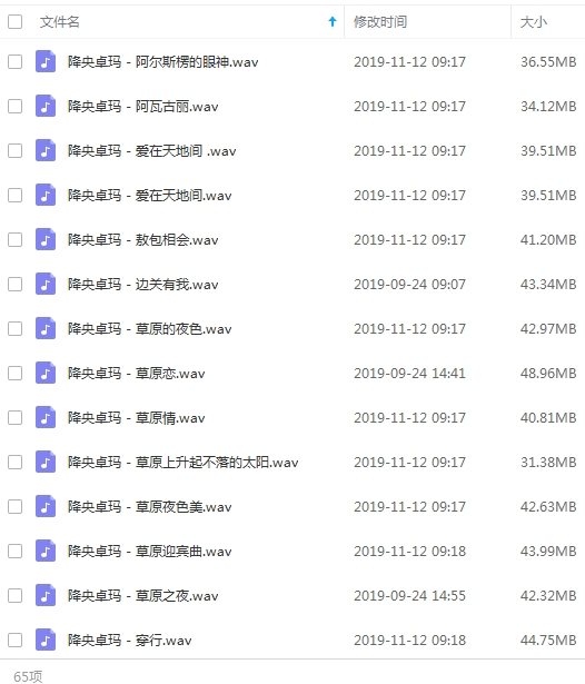 降央卓玛精选无损歌曲65首[WAV/2.68GB]百度云网盘下载