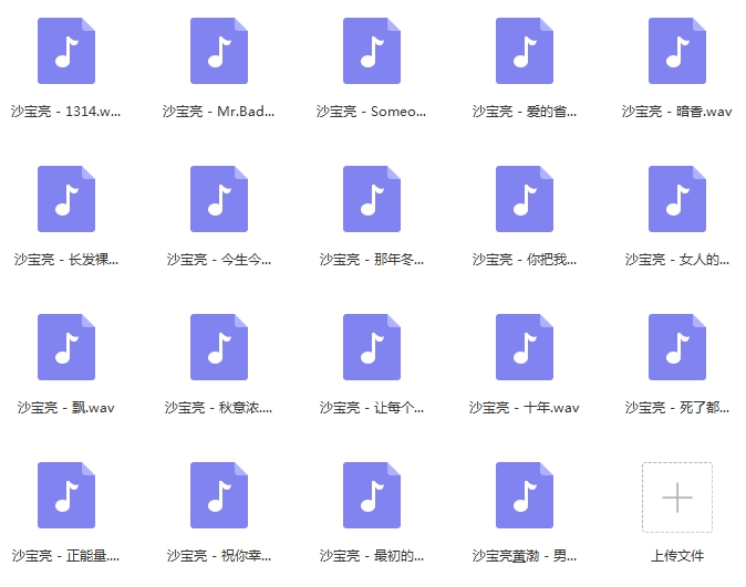 沙宝亮无损歌曲精选19首[WAV/879.90MB]百度云网盘下载