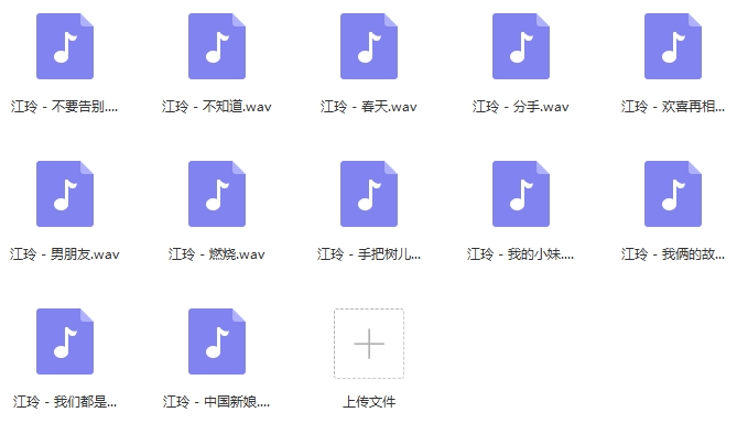 江玲无损歌曲合集12首[WAV/432.95MB]百度云网盘下载