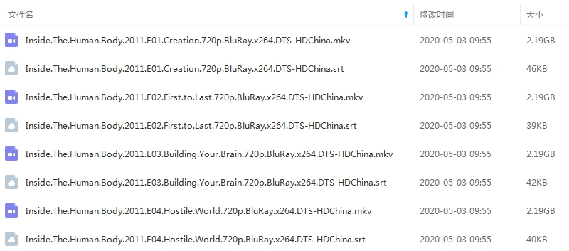 BBC纪录片《人体奥秘》四部合集高清英语外挂中字[MKV/6.56GB]百度云网盘下载