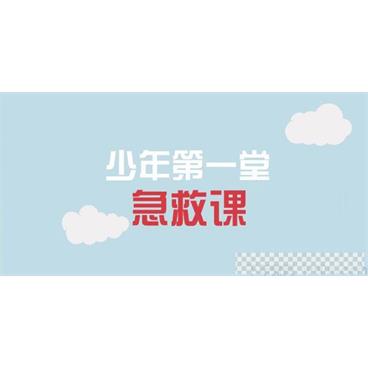 芝麻学社《少年第一堂急救课》医学基础知识课视频[MP4/1.06GB]百度云网盘下载