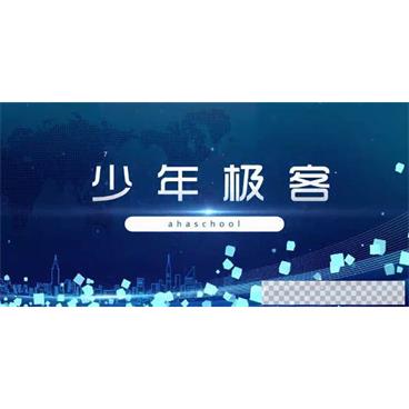 芝麻学社《少年极客》世界十大极客少年故事视频[MP4/1004.62MB]百度云网盘下载