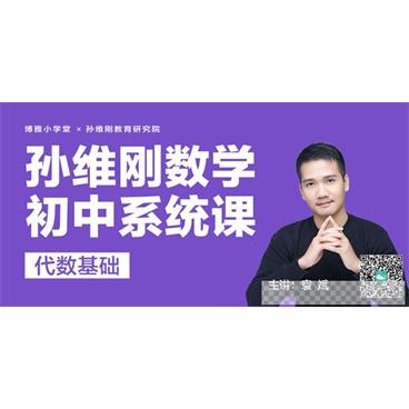 袁斌-孙维刚初中数学系统课代数基础视频[MP4/6.93GB]百度云网盘下载