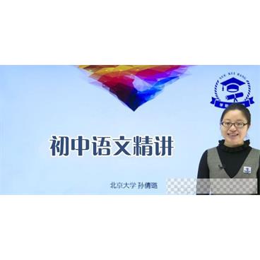 孙倩璐-学魁榜初中语文重点知识精讲视频[MP4/9.51GB]百度云网盘下载