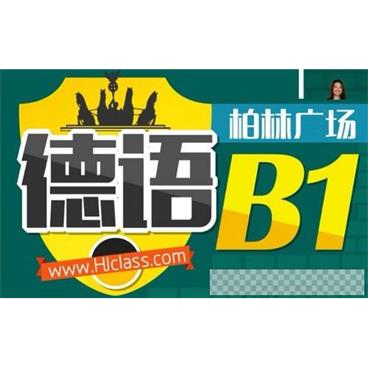 沪江网校德语柏林广场B1视频[MP4/9.65GB]百度云网盘下载