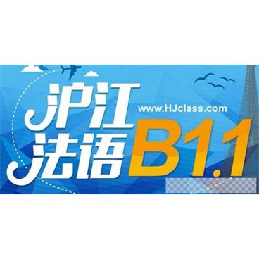 沪江网校法语新版法语欧标B1视频[MP4/10.34GB]百度云网盘下载