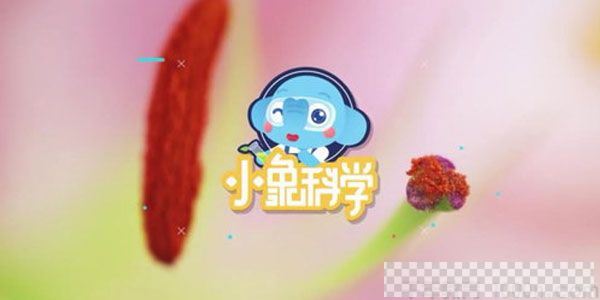 小象科学四年级同步科学课视频[MP4/1.54GB]百度云网盘下载