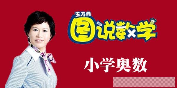 王乃向图说数学-小学奥数课教学视频全集视频[MP4/4.20GB]百度云网盘下载