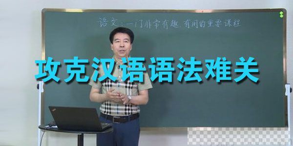 王芳大语文-杨长胜攻克汉语语法难关视频[MP4/1.39GB]百度云网盘下载