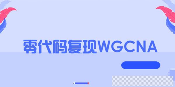 零代码复现WGCNA教程视频[MP4/2.33GB]百度云网盘下载