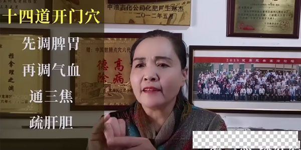 中医脏腑推拿点穴课程初级班+专业班视频[MP4/11.7GB]百度云网盘下载