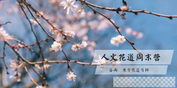 谷雨-东方花道导师插花教程《人文花道美学营》视频[MP4/2.17GB]百度云网盘下载