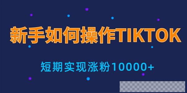 手小白操作tiktok，3天从0到10000粉丝撸美金实战分享视频[MP4/61.0MB]百度云网盘下载