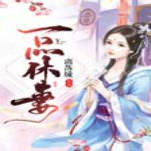 一品休妻有声小说全集_月影播讲（已完结-128K高品音质）百度云网盘下载