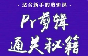 《PR剪辑通关秘籍-新手剪辑课》[MP4/PDF]百度云网盘下载