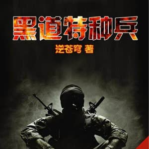 《黑道特种兵有声小说全集》麦田播讲（鸿达以太）百度云网盘下载