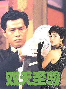 双天至尊(1993)