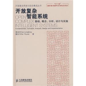 开放复杂智能系统：基础、概念、分析、设计与实施