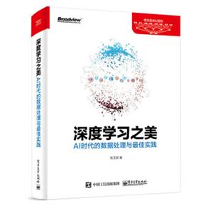 深度学习之美：AI时代的数据处理与最佳实践