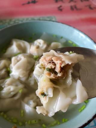 马齿苋肉馅馄饨的做法步骤：12