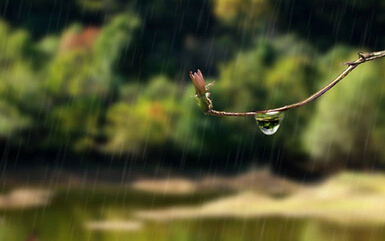 梅雨时期的爱情