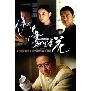 雾里看花(2009)