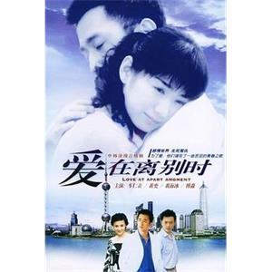 爱在离别时(2005)