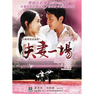 夫妻一场(2009)