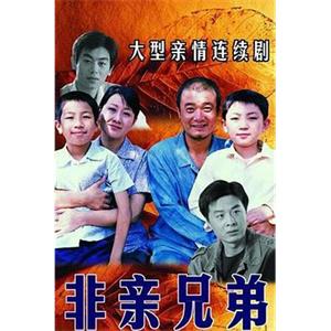 非亲兄弟(2005)