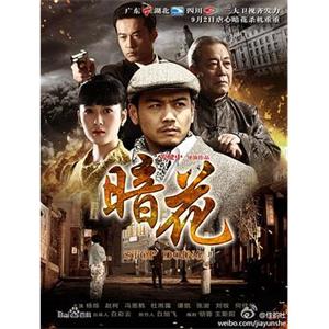 暗花(2012)