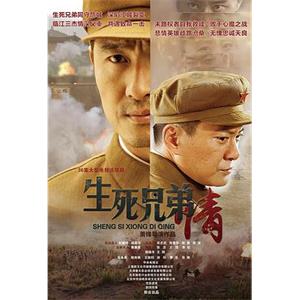 生死兄弟情(2015)