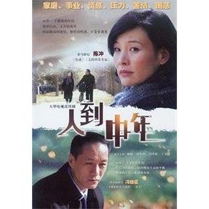 人到中年(2009)