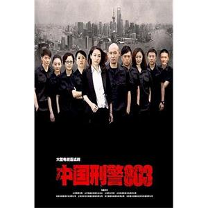 中国刑警803(2014)