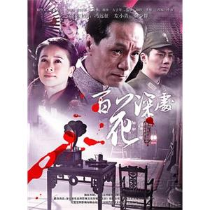 百花深处(2011)