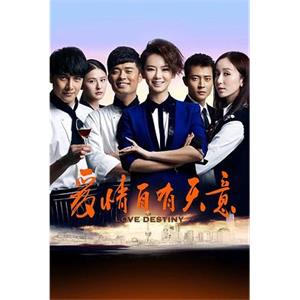 爱情自有天意(2013)