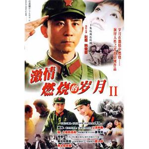 激情燃烧的岁月2(2004)