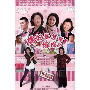 媳妇是怎样炼成的(2011)