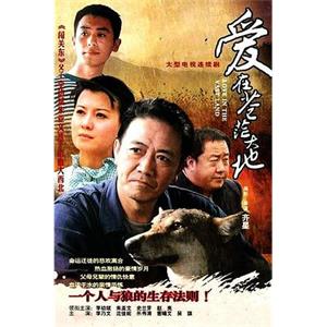 爱在苍茫大地(2010)