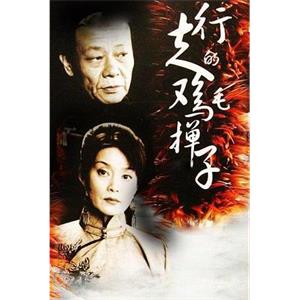 行走的鸡毛掸子(2005)