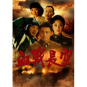 血战长空(2011)