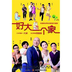 好大一个家(2015)