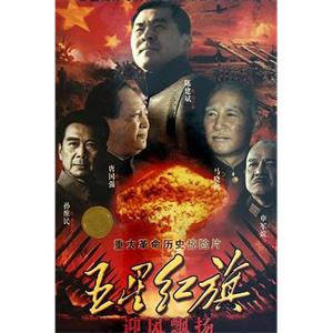 五星红旗迎风飘扬(2011)