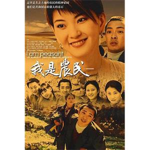 我是农民(2005)