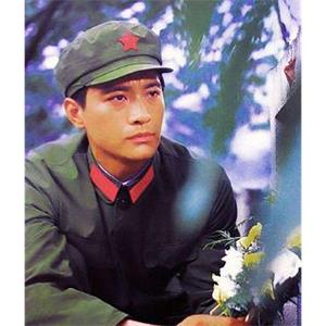 高山下的花环(1984)