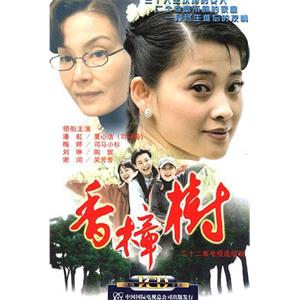 香樟树(2004)